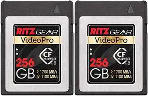 RG CFExpress Type B 256GB Card (1700/1100 R/W), (Pack of 2 Units) Pairs with Compatible Canon & Panasonic DSLR Cameras. (Not Recommended for Nikon Cameras)