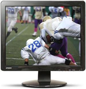 Orion Images Corp19RCE 19-Inch Commercial Grade LCD Monitor (Black)