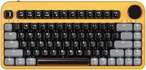 Azio IZO Wireless BT5/USB PC & Mac Mechanical Keyboard, Pre-Lubed Red Switches, Golden Iris (IK412)