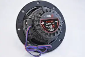 Cerwin Vega SM52 5 1/4 " 4 250W Max / 50W RMS 3-Way Marine Speaker