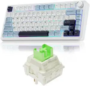 AULA F75 Wireless Mechanical Keyboard, Gasket Hot Swappable Custom Keyboard + LEOBOG Reaper Switches