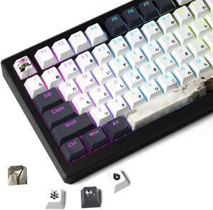 XVX Shine Through Keycaps, Japanese Ink Lotus Keycap Set, DoubleShot PBT Key caps with Dye-Sublimation, Cherry Profile Keyboard Keycaps for Gateron Cherry MX Switches Mechanical Keyboards