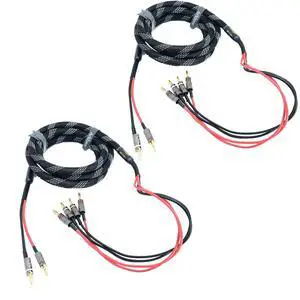 Arklove 10ft 2packs 13awg Speaker Cable Premium Heavy Duty Braided Wire Dual Banana 2 Plug to 4 Banana Male Plugs Frequency Division 2 Banana Plugs - 4 Banana Plugs 1pair Arklove 10ft 2packs 13awg Speaker Cable Premium Heavy Duty Braided Wire Dual Banana 2 Plug to 4 Banana Male Plugs Frequency Division 2 Banana Plugs - 4 Banana Plugs 1pair