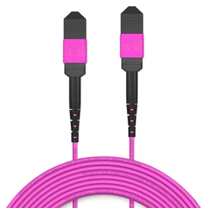 AMPCOM MPO to MPO Trunk Cable 50/125m Multimode OM4 (12 Fiber, MPO to MPO Female, Type B, LSZH/Riser, UPC, Magenta) 30m (98.4ft) AMPCOM MPO to MPO Trunk Cable 50/125m Multimode OM4 (12 Fiber, MPO to MPO Female, Type B, LSZH/Riser, UPC, Magenta) 30m (98.4ft)