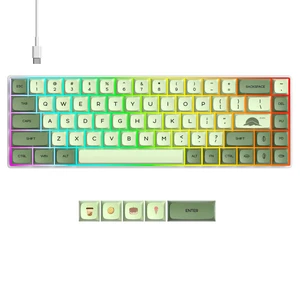 Ussixchare 65 Percent Mechanical Gaming Keyboard 65% Portable Keyboard 68 Keys Compact Wired RGB Backlit Red Switch for PC Laptop Gamer(68 Matcha) Ussixchare 65 Percent Mechanical Gaming Keyboard 65% Portable Keyboard 68 Keys Compact Wired RGB Backlit Red Switch for PC Laptop Gamer(68 Matcha)