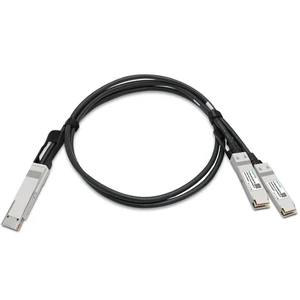 400GBASE-CU DAC Cable 30AWG, 1m(3.28ft) QSFP-DD to 2 * 200G QSFP56 Breakout Passive Direct Attach Cable Compatible for Mellanox Switch, Router, Network Device 400GBASE-CU DAC Cable 30AWG, 1m(3.28ft) QSFP-DD to 2 * 200G QSFP56 Breakout Passive Direct Attach Cable Compatible for Mellanox Switch, Router, Network Device