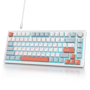 iTastatur 75% Wired Gaming Keyboard, Hot Swappable Gasket Mount, White Switch, 82 Keys TKL Mechanical Keyboard, NKRO Creamy for PC Laptop Windows Gamer (Salmon) iTastatur 75% Wired Gaming Keyboard, Hot Swappable Gasket Mount, White Switch, 82 Keys TKL Mechanical Keyboard, NKRO Creamy for PC Laptop Windows Gamer (Salmon)