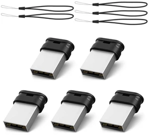RAOYI 16GB Mini USB 2.0 Flash Drive with Lanyard, 5-Pack, Black RAOYI 16GB Mini USB 2.0 Flash Drive with Lanyard, 5-Pack, Black