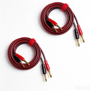 Jonronfey 14-Gauge Pure Copper Speaker Cable, 6.6 Feet, Burgundy Jonronfey 14-Gauge Pure Copper Speaker Cable, 6.6 Feet, Burgundy