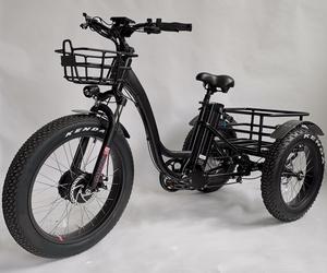 Fat tire adult electric trike tricycle, 3 three wheel electric bike, fat tire ebike, off road trike