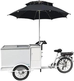Frozen Delights on Wheels unveiling the Electric Ice Cream Tricycle