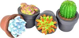 G & F Products 10062 Garden Miniature, Succulent