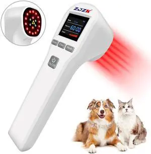 ZJZK Cold Laser Therapy 4X808nm 16X650nm Chiropractors Using Laser Therapy Near Me Improve Blood Circulation For People Or Pet