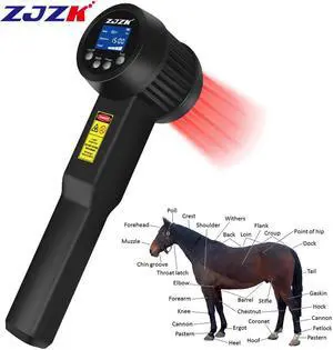 ZJZK Handheld 5W 10x808nm 15x650nm Cold Laser Therapy Device Muscle Relax Back Neck Pain Relief Treatment Physiotherapy Instrument