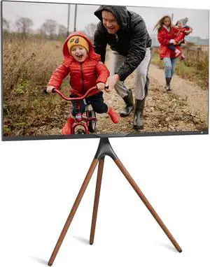 ProMounts Easel Floor TV Stand with Tripod Base for 47-72 inch LED LCD OLED Flat and Curved Screens, Portable Height Adjustable TV Stand Mount for Bedroom, Living Room, Studio
