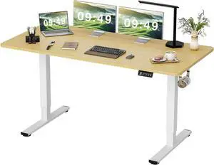 Toytexx Inc Electric Standing Desk 63×24" - Height Adjustable Sit-Stand Desk with Dual Motors, Memory Presets, White Desktop, Steel Frame, for Home Office, Gaming, Study (Wood)