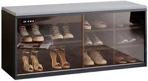 Toytexx Inc Modern Shoe Storage Bench with Cushion, 6 Compartment Entryway Cabinet with Glass Door, Adjustable Shelves & Negative Ion Deodorizer - Black