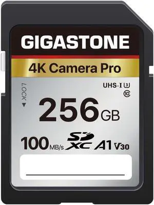 [5-Yrs Free Data Recovery] GIGASTONE 256GB Memory Card 4K Pro Series Speed Up to 100MB/s Compatible with Canon Nikon Sony Camcorder, A1 V30 UHS-I