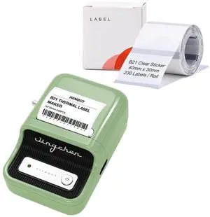 NIIMBOT B21 Green Label Maker and 2 Rolls Tape Bundle