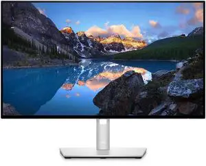Dell UltraSharp 24 Monitor - U2422H - 60.47cm (23.8"), 0210-AYUI, 837035 (U2422H - 60.47cm (23.8))