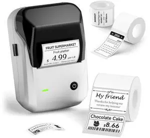 NIIMBOT B1 Label Maker Machine (Silver Gray) with Tape with 2 Rolls 50×80mm White Labels, Compatible with Phones & PC