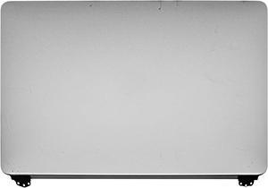 LCDOLED Replacement for MacBookPro16,1 MacBookPro16,4 16" 2019 A2141 EMC 3347 MVVJ2LL/A MVVK2LL/A MVVL2LL/A MVVM2LL/A 16 inches 3072x1920 Full LCD Screen Complete Assembly (Silver)