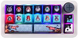 Darmoshark SK16 Macro Mechanical Numeric Keyboards 2.4G/USB-C/Bluetooth 16 Keys Mini Numpad Portable Keypad RGB Backlight Gaming Keyboards Extended Layout for Cashier,Fully Programmable Keys(White)