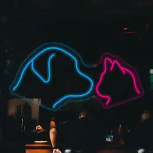 Dog Cat LED Neon Sign Super Bright Acrylic Dimmable Dog Led Light Cat Neon Light Size 15.7x7.8 in Cute Neon Sign for Shop Window Store Display Beer Bar Nightclub Grand Opening Gift