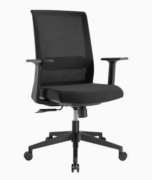 Desky Low Back Mesh Office Chair