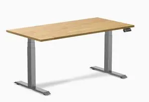 Desky Dual Rubberwood Sit Stand Desk - Light Oak / 60 x 30 in / Space Gray