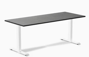 Desky Zero Bamboo Office Desk - Dark Bamboo / 72 x 30 in / White