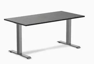 Desky Zero Bamboo Office Desk - Dark Bamboo / 60 x 30 in / Space Gray