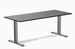 Desky Zero Bamboo Office Desk - Dark Bamboo / 72 x 30 in / Space Gray