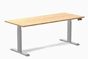 Desky Dual Bamboo Sit Stand Desk - Bamboo / 72 x 30 in / Grey