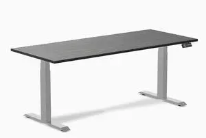 Desky Dual Bamboo Sit Stand Desk - Dark Bamboo / 72 x 30 in / Grey