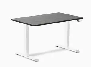 Desky Dual Bamboo Sit Stand Desk - Dark Bamboo / 48 x 30 in / White
