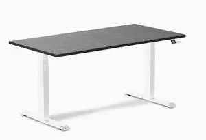Desky Dual Bamboo Sit Stand Desk - Dark Bamboo / 60 x 30 in / White