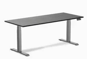 Desky Dual Bamboo Sit Stand Desk - Dark Bamboo / 72 x 30 in / Space Gray