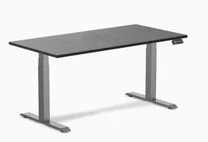 Desky Dual Bamboo Sit Stand Desk - Dark Bamboo / 60 x 30 in / Space Gray Desky Dual Bamboo Sit Stand Desk - Dark Bamboo / 60 x 30 in / Space Gray