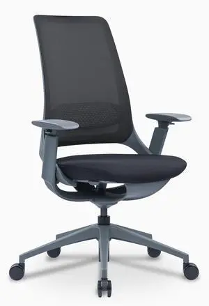 Desky Pulse Supportive Desk Chair - Black / Gray / No Headrest