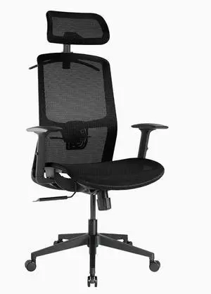 Desky Adjustable High Back Mesh Chair