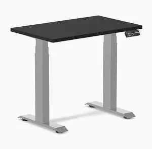 Desky Dual Mini Sit Stand Desk - Black / 32 x 20 in / Gray