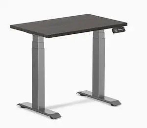 Desky Dual Mini Sit Stand Desk - Burnished Wood / 32 x 20 in / Space Gray