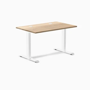 Desky Zero Hardwood Office Desk - White Ash / 48 x 30 in / White Desky Zero Hardwood Office Desk - White Ash / 48 x 30 in / White