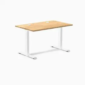 Desky Zero Hardwood Office Desk - White Oak / 48 x 30 in / White Desky Zero Hardwood Office Desk - White Oak / 48 x 30 in / White