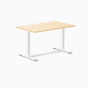 Desky Zero Hardwood Office Desk - Maple / 48 x 30 in / White Desky Zero Hardwood Office Desk - Maple / 48 x 30 in / White