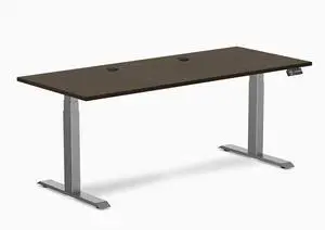 Desky Dual Bamboo Sit Stand Desk - Dark Bamboo / 60 x 30 in with Grommets / Space Gray Desky Dual Bamboo Sit Stand Desk - Dark Bamboo / 60 x 30 in with Grommets / Space Gray