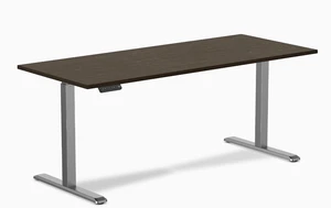 Desky Single Sit Stand Desk - Dark Bamboo / 70.9 x 29.5 in / Space Gray Desky Single Sit Stand Desk - Dark Bamboo / 70.9 x 29.5 in / Space Gray
