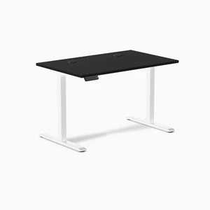 Desky Single Sit Stand Gaming Desk - Black / 47.2 x 29.5 in / White Desky Single Sit Stand Gaming Desk - Black / 47.2 x 29.5 in / White