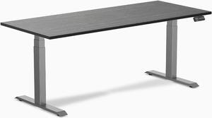 Desky Dual Bamboo Sit Stand Desk - Dark Bamboo / 72 x 30 inches / Space Grey